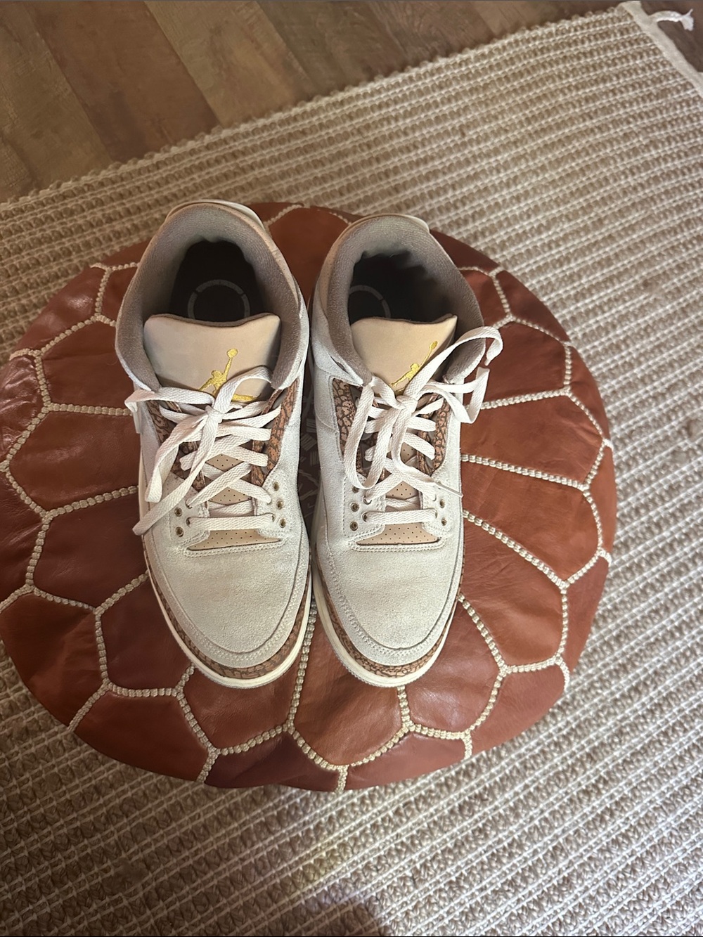 Nike Air Jordan retro palamino